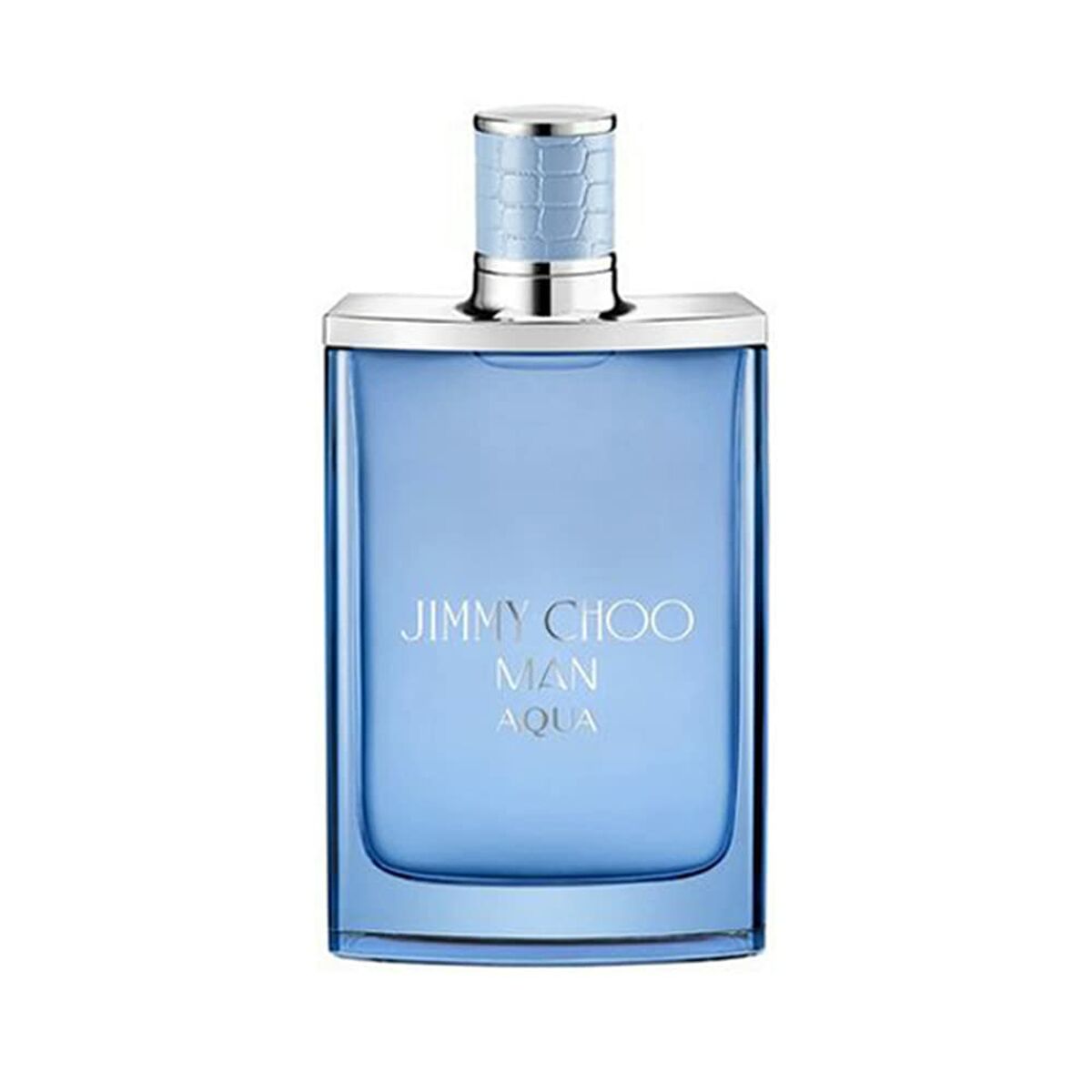 Herre parfyme Jimmy Choo EDT Man Aqua 100 ml