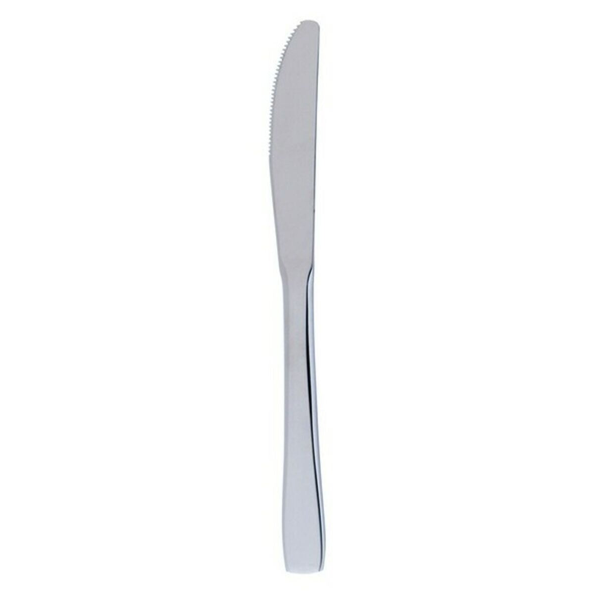 Sett med Dessertkniver Quid Hotel (12 pcs) Rustfritt stål
