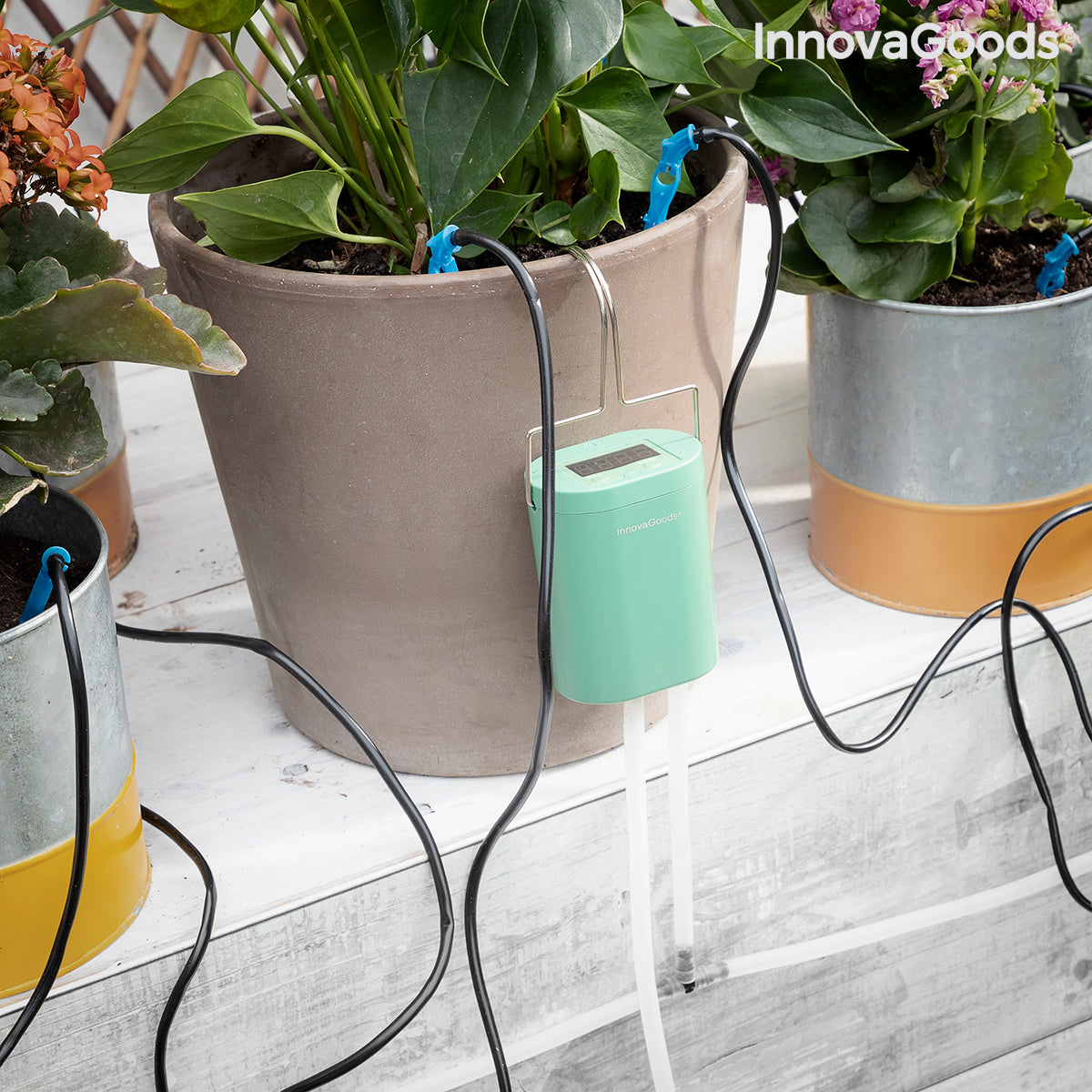 Automatisk drypp vanningssystem for plantepotter Regott InnovaGoods
