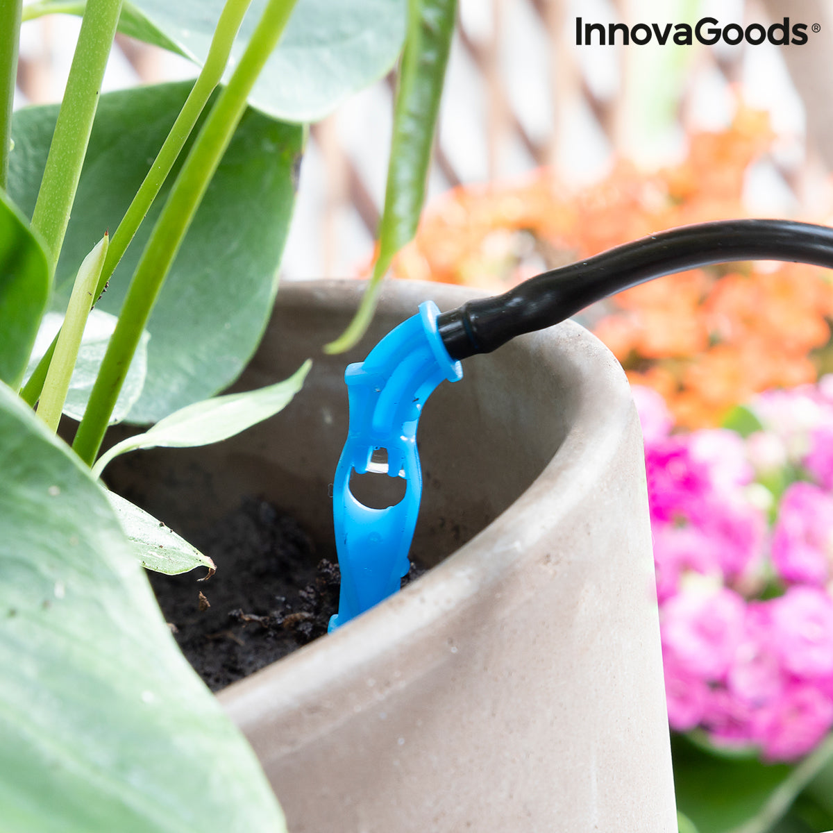 Automatisk drypp vanningssystem for plantepotter Regott InnovaGoods