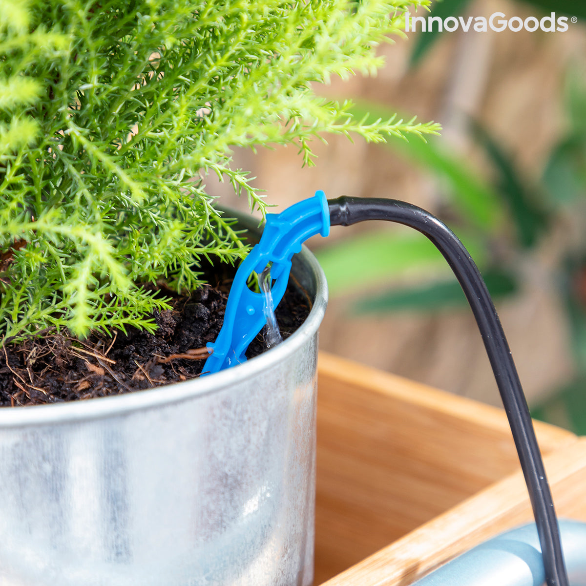 Automatisk drypp vanningssystem for plantepotter Regott InnovaGoods