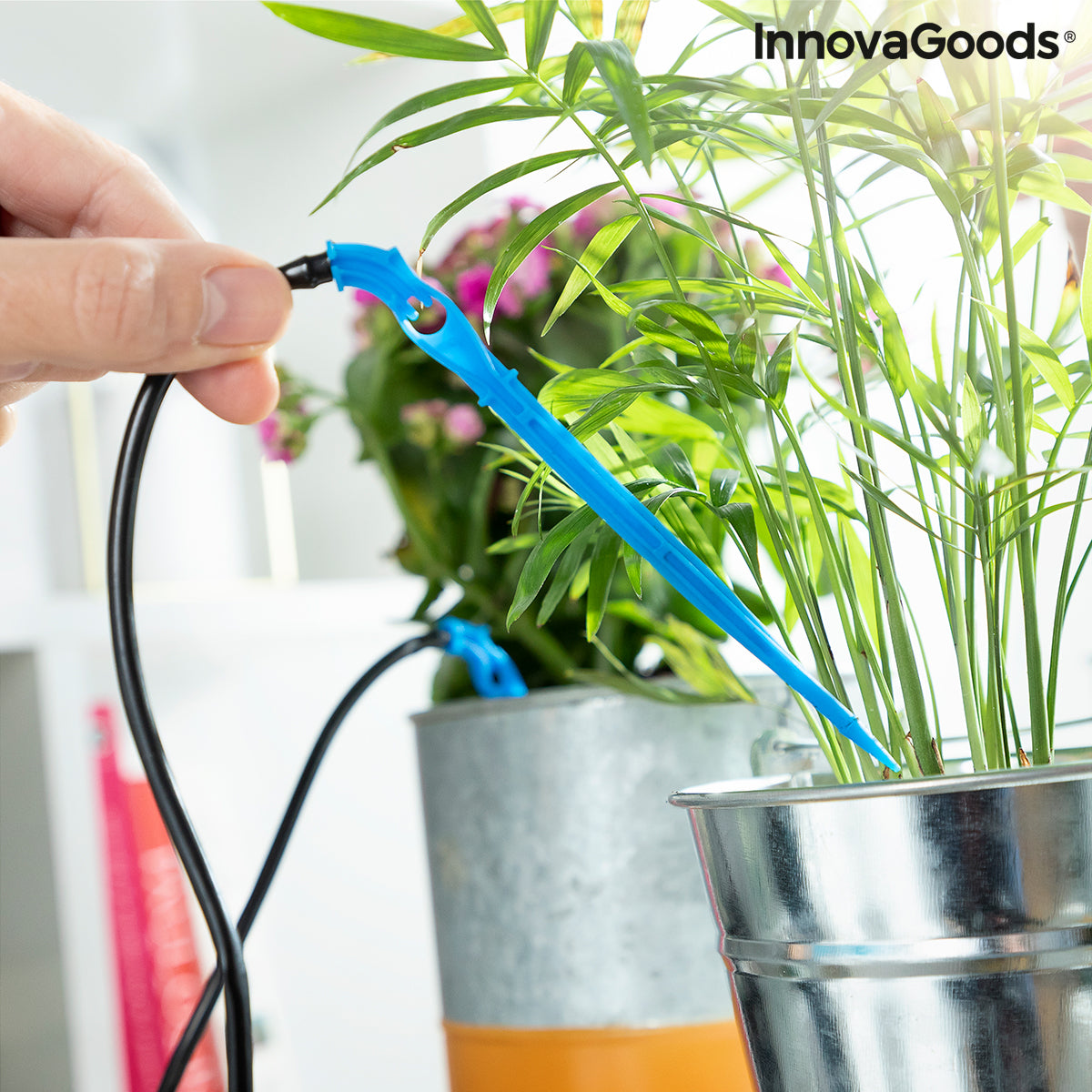 Automatisk drypp vanningssystem for plantepotter Regott InnovaGoods