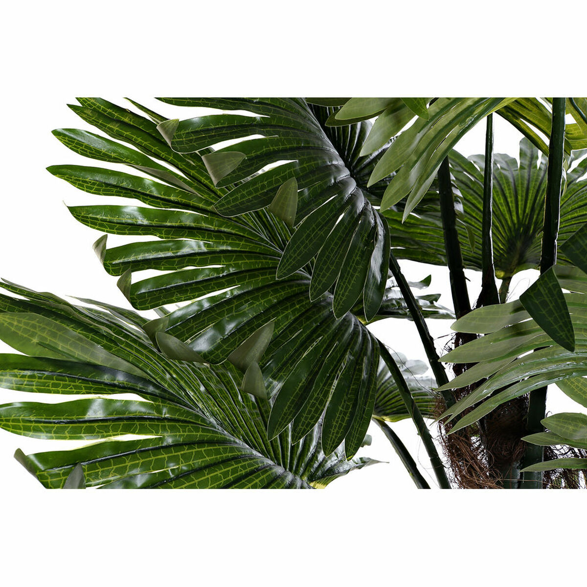 Dekorativ Plante DKD Home Decor Svart Brun Grønn PVC Polypropylen (PP) (80 x 70 x 100 cm)