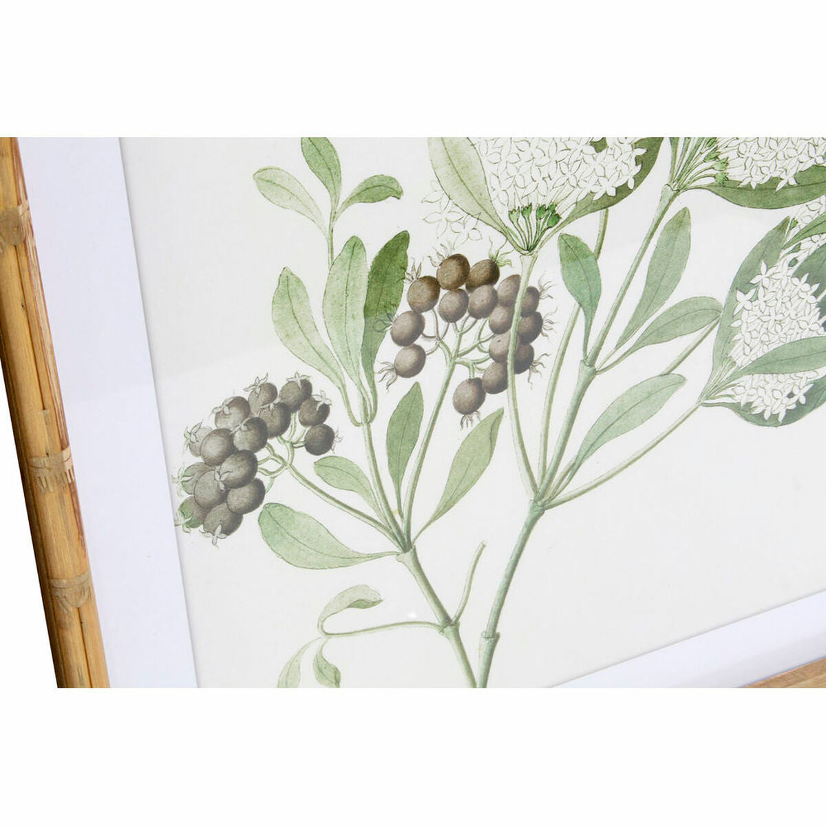 Maleri DKD Home Decor 50 x 2,8 x 50 cm Shabby Chic Botaniske planter (6 Deler)